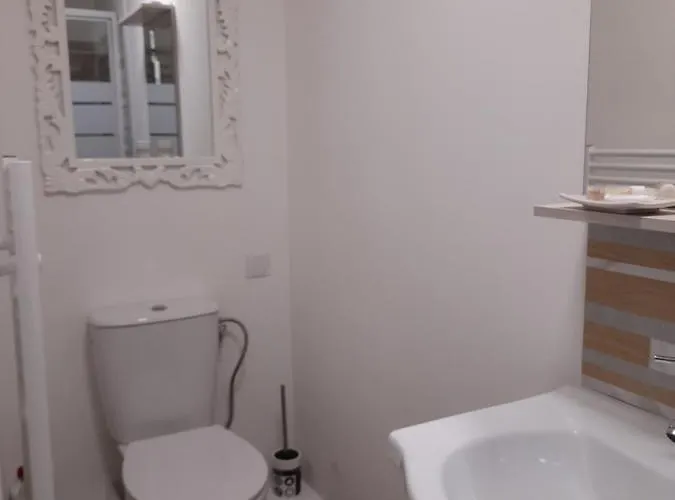 La Pepite De L'ocean Apartment *