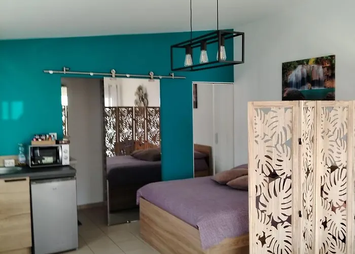 La Pepite De L'ocean Apartment *