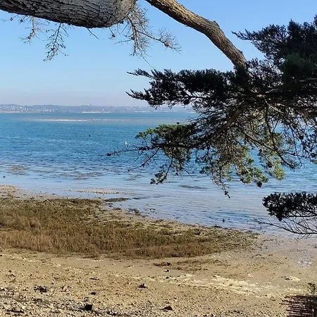 Διαμέρισμα La Pepite De L'ocean *