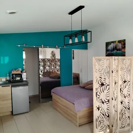 La Pepite De L'ocean Apartament *